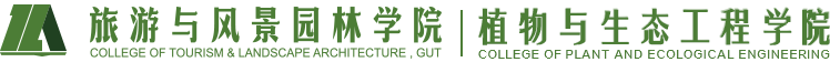 伟德BV1946官网入口 伟德BV1946官网入口
